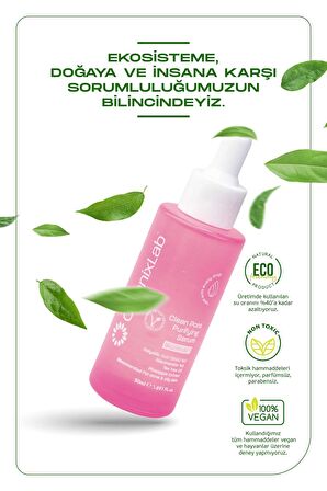 Organix Lab Clean Pore Purifying Gözenek Arındırıcı Serum