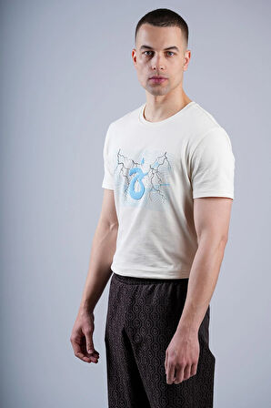 TSHIRT ŞİMŞEK BASKI VE NAKIŞLI