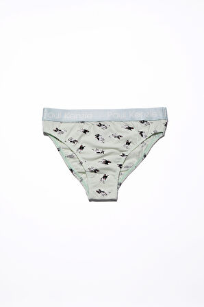 Paul Kenzie x Kurtaran Ev - Desenli Kadın Slip Külot - Frenchie