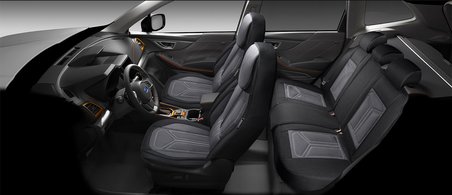 FS Serisi VOLKSWAGEN Phaeton 2002-2016 ile uyumlu takmatik kılıf, Gri