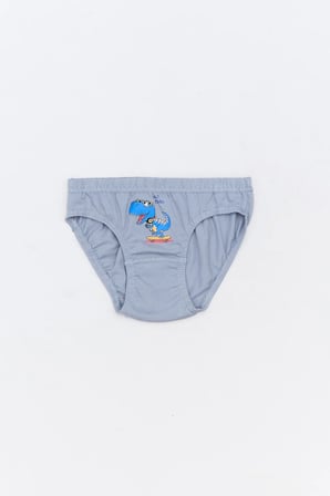 Dinozor Baskılı 3 Lü Erkek Çocuk Slip Külot
