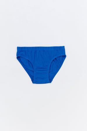 Dinozor Baskılı 3 Lü Erkek Çocuk Slip Külot