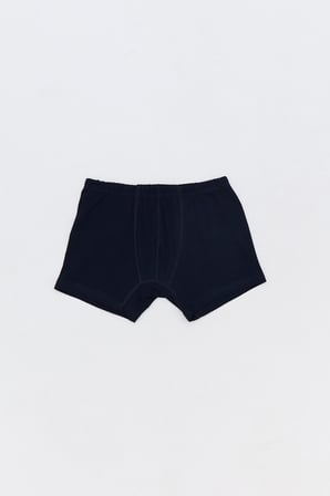 Dinozor Baskılı Erkek Çocuk 3 Lü Boxer