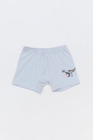 Dinozor Baskılı Erkek Çocuk 3 Lü Boxer