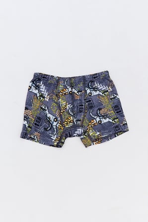 Dinozor Baskılı Erkek Çocuk 3 Lü Boxer
