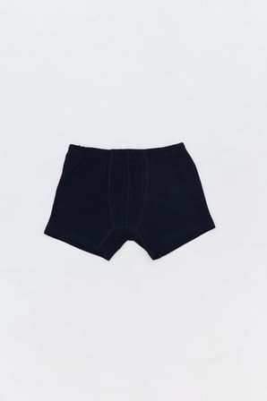 Dinozor Baskılı Erkek Çocuk 3 Lü Boxer