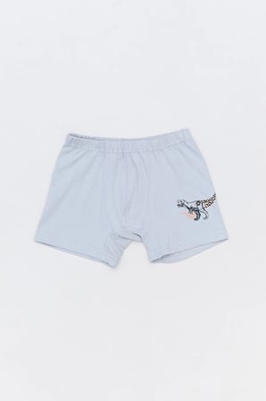 Dinozor Baskılı Erkek Çocuk 3 Lü Boxer