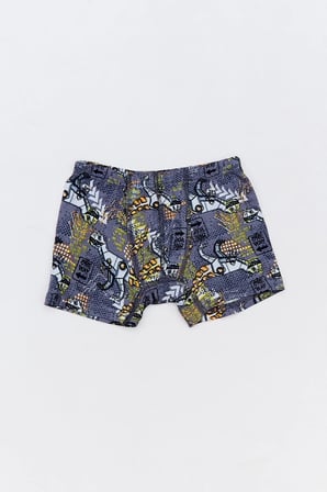Dinozor Baskılı Erkek Çocuk 3 Lü Boxer