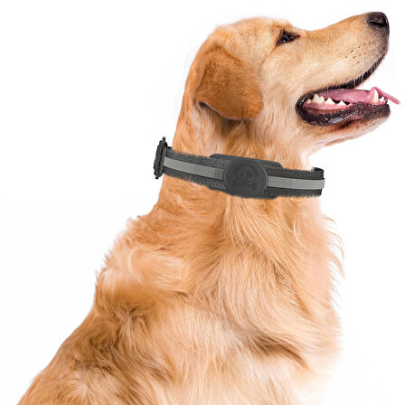 Buff TagSafe Dogcol Taşınabilir Anahtarlık AirTag Kılıf Black