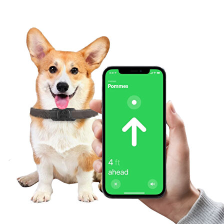 Buff TagSafe Dogcol Taşınabilir Anahtarlık AirTag Kılıf Black