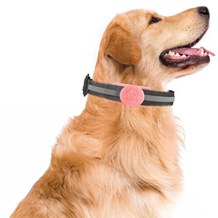 Buff TagSafe Dogcol Taşınabilir Anahtarlık AirTag Kılıf Pink