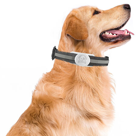 Buff TagSafe Dogcol Taşınabilir Anahtarlık AirTag Kılıf White