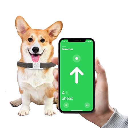 Buff TagSafe Dogcol Taşınabilir Anahtarlık AirTag Kılıf White