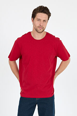 Regular Fit Pamuk Bisiklet Yaka Penye Erkek Tişört 0169_1