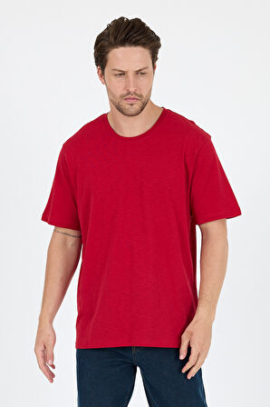 Regular Fit Pamuk Bisiklet Yaka Penye Erkek Tişört 0169_1