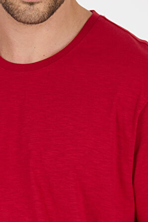 Regular Fit Pamuk Bisiklet Yaka Penye Erkek Tişört 0169_1