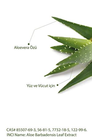 Seay Doğal Kabak Lifli Aloe Vera Sabunu Saklama Keseli 130 Gr 