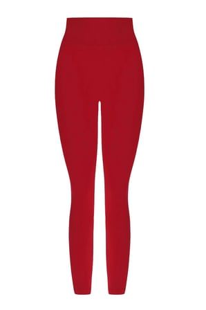 Goat Spirit Lift Seamless Tayt - Bordo EM28