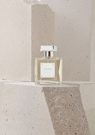 Icon 100 Ml Erkek Parfüm