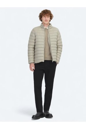 Vizon Regular Fit Dik Yaka Casual Dokuma Mont