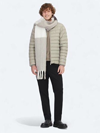 Vizon Regular Fit Dik Yaka Casual Dokuma Mont