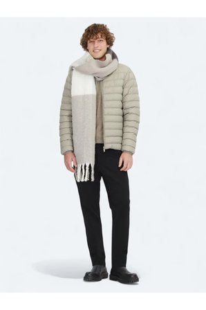 Vizon Regular Fit Dik Yaka Casual Dokuma Mont