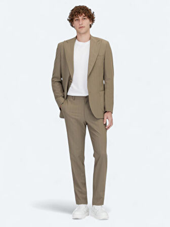 Vizon Çizgili Modern Fit Takım Elbise