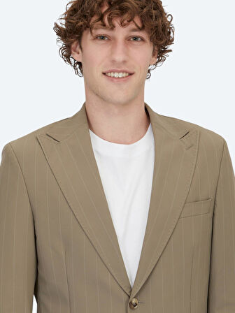 Vizon Çizgili Modern Fit Takım Elbise