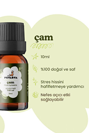 Çam Ağacı Yağı | 10 ml