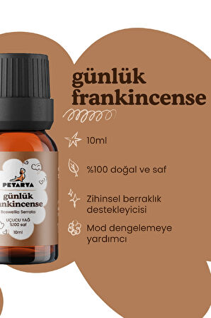 Günlük (Frankincense) Yağı | 10 ml