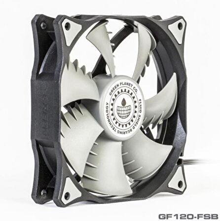 Green Ggf120-Fsb Huracan 1X12Cm Fan Bilgisayar Kasa Fanı