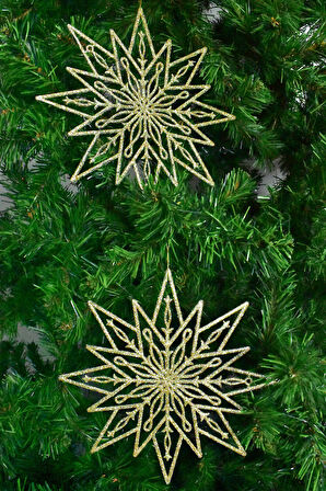 Waldern Premium 2li Simli Yıldız XXL 24 Cm Yılbaşı Süsü