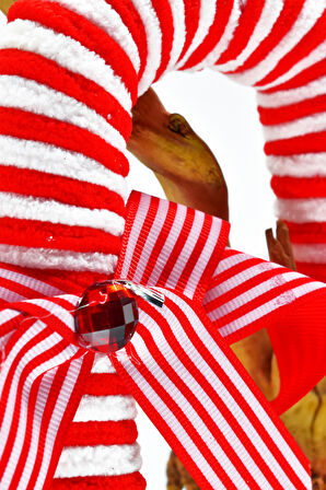 Waldern Premium Collection Luxury Fiyonklu Şeker Kamışı Süs Dekoratif Yılbaşı Süsü