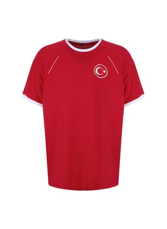 North Of Navy TÜRKİYE - SEZON Kırmızı Tshirt Bisiklet Yaka Regular Fit Nakışlı Erkek T-Shirt