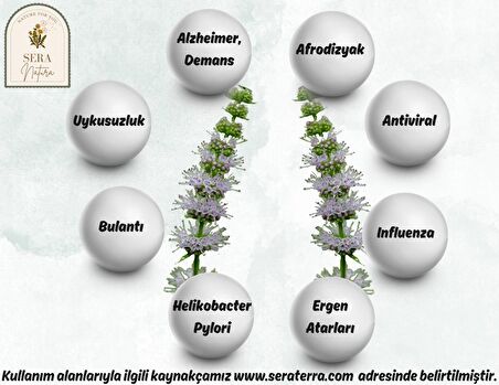 Paçuli Uçucu Yağı 5 ml. %100 Saf