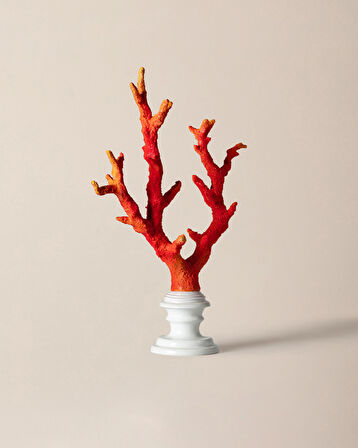 Isabella Biblo - Turuncu/Beyaz