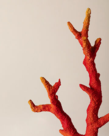 Isabella Biblo - Turuncu/Beyaz