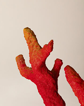 Isabella Biblo - Turuncu/Beyaz