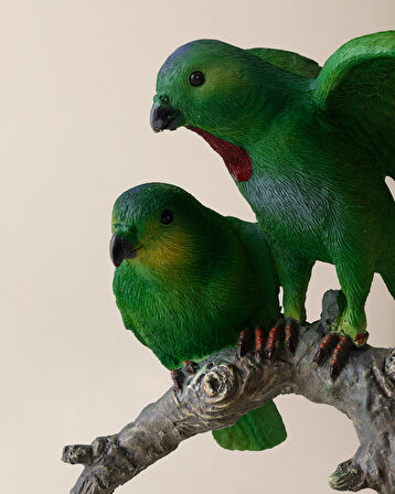 Quill Biblo - Renkli