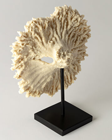 Vivienne Biblo - Krem