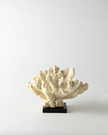 Pauline Biblo - Krem