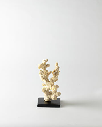 Josephine Biblo - Krem