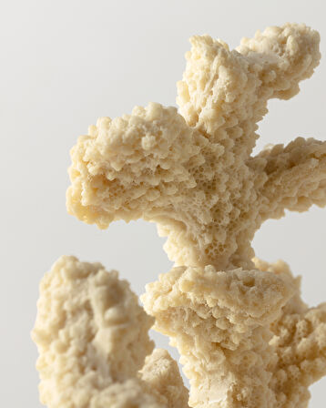 Josephine Biblo - Krem