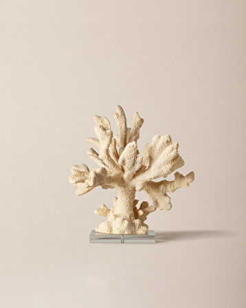 Beatrice Biblo - Krem