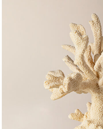 Beatrice Biblo - Krem