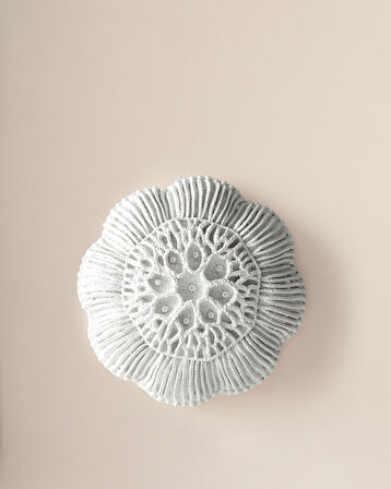 Coralie Duvar Aksesuarı - Beyaz
