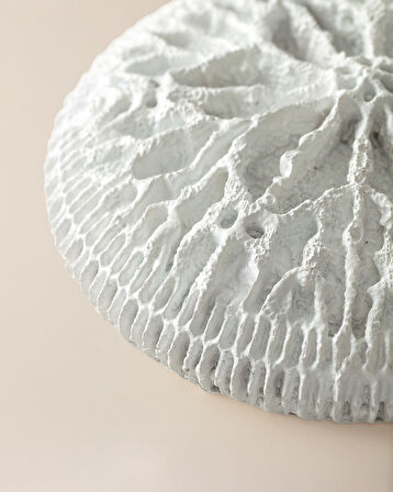 Seanna Duvar Aksesuarı - Beyaz