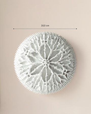 Seanna Duvar Aksesuarı - Beyaz