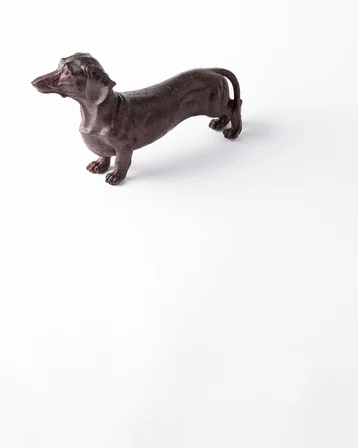 Canine Biblo - Kahverengi