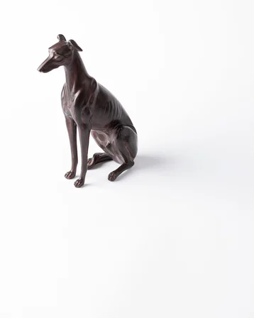 Hound Biblo - Kahverengi
